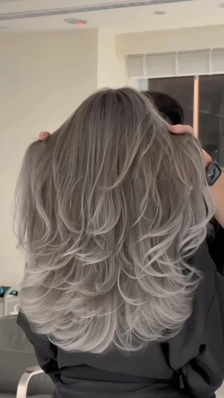 Layered gray hair with darker strands styled in a salon