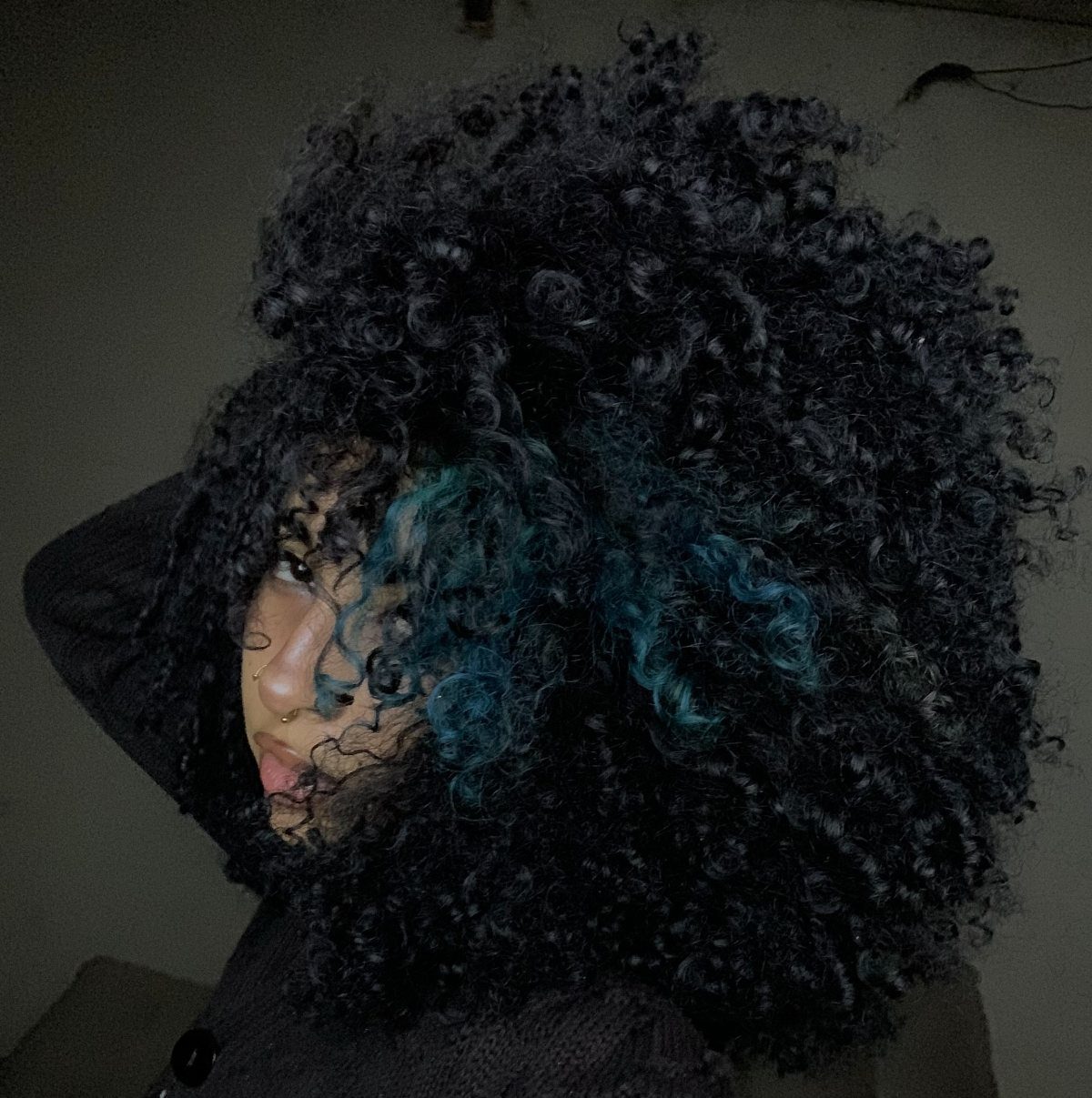 Voluminous dark curls with subtle deep blue highlights framing a person's face
