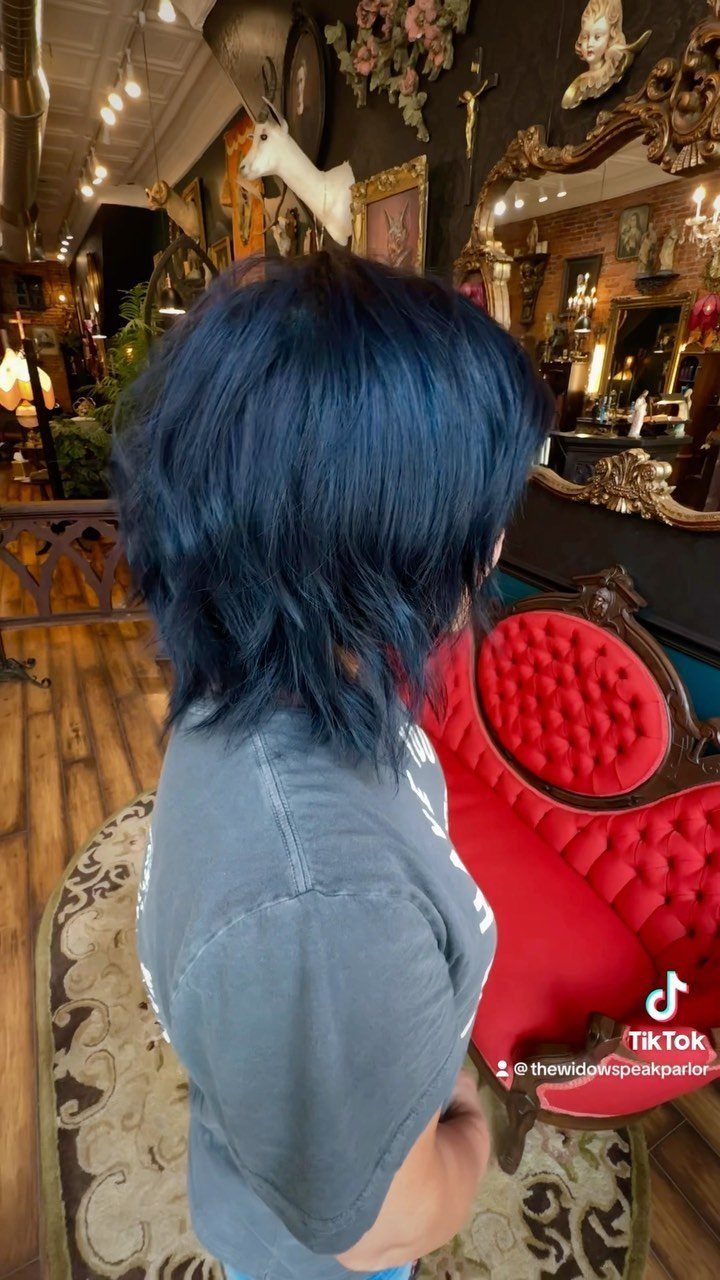 Short layered navy-blue hair viewed from behind in an ornate room
