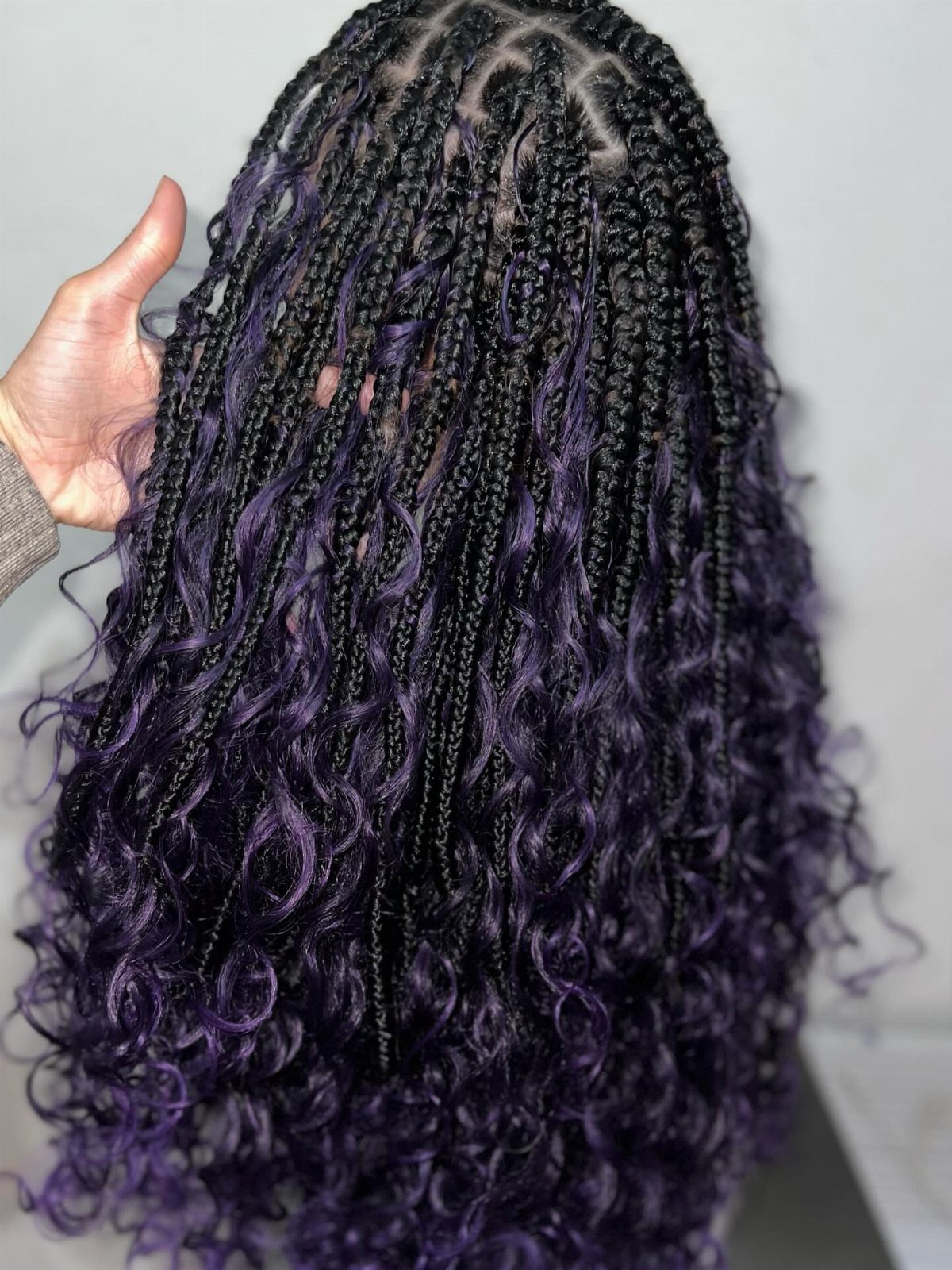 Long purple-black hair with thin braids and loose, tightly curled ends