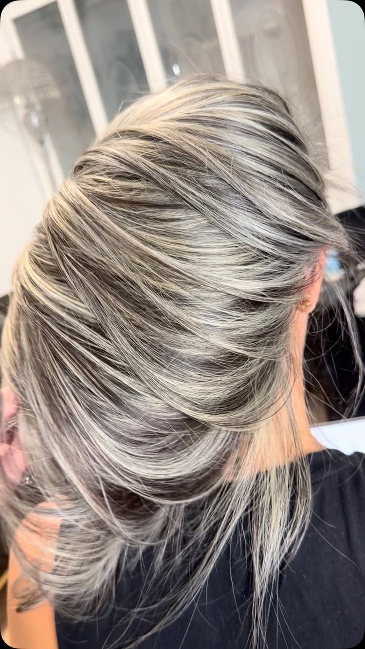 Swept-back dark hair with fine silver strands blended throughout