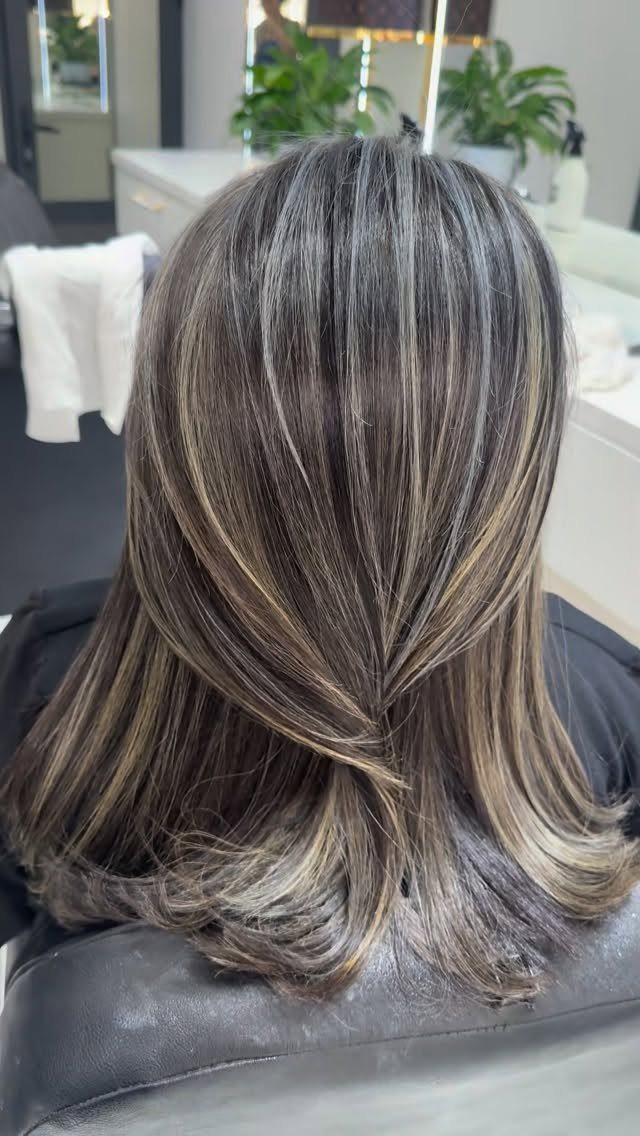 Layered dark hair with blended silver-grey highlights styled smoothly in a salon