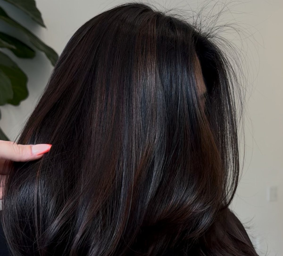 Glossy cool dark brunette hair with subtle muted brown highlights