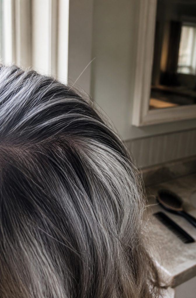 Gray hair shown in a close view for an article about possible color return